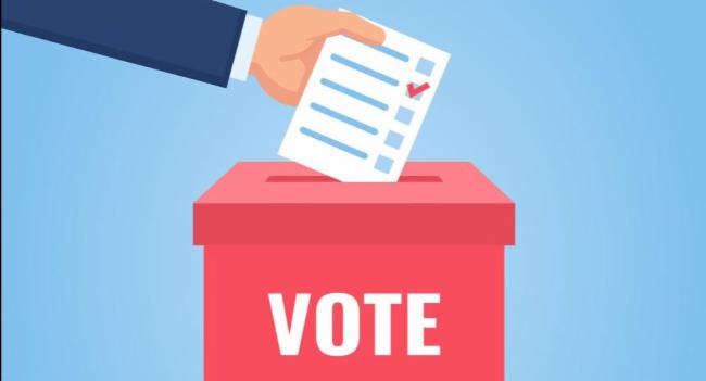 Local Government Election delayed, again